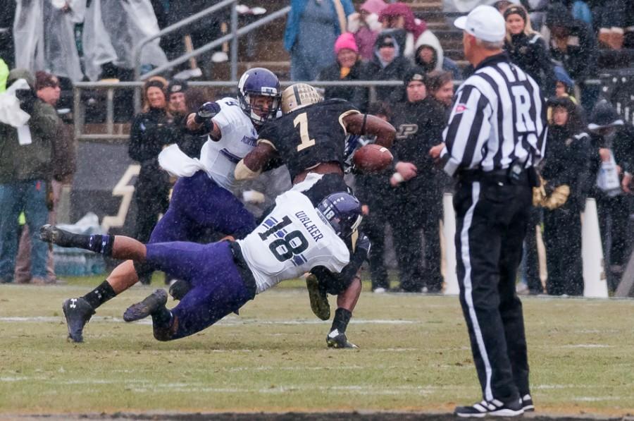 Senior linebacker Jimmy Hall forces a fumble as Anthony Walker wraps up Purdue's Akeem Hunt during Saturday's victory over the Boilermakers. Hall added an interception on Purdue's first offensive drive as the Wildcats' defense held Purdue to only 14 points.