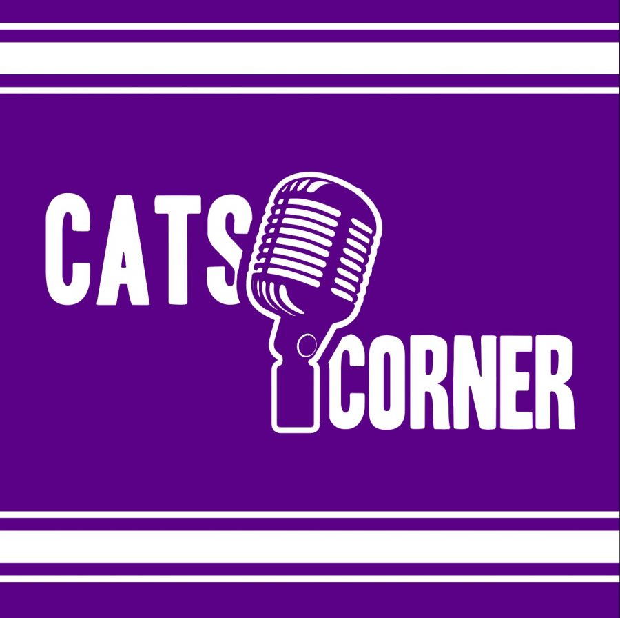 Cats Corner: Checking in on spring sports