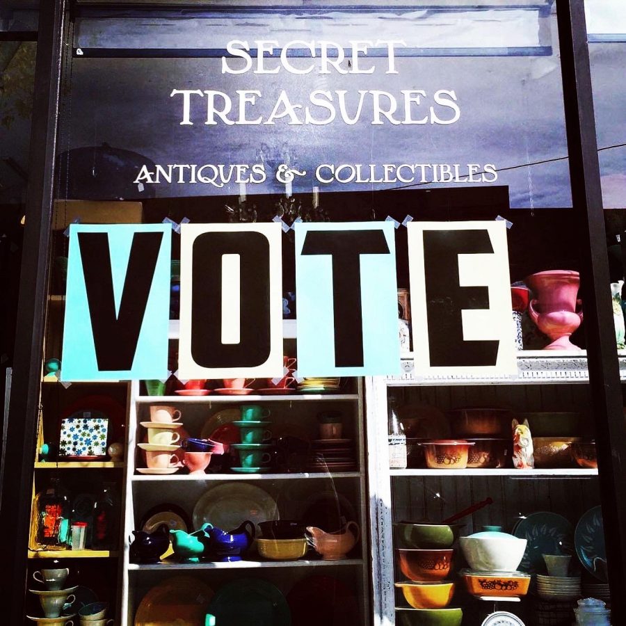 Vote signs are posted in windows of Main-Dempster Mile businesses. They are part of Main-Dempster Mile’s efforts to get Evanston residents to vote.
