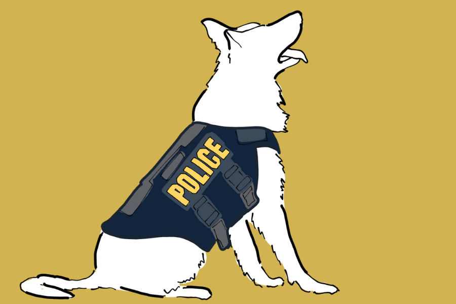 Aston, the Evanston Police Department’s K-9 police dog, both locates suspects based on scents and identifies narcotics at crime scenes.