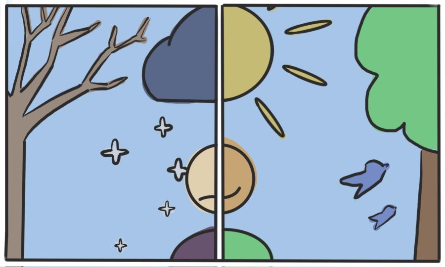 The left half of the visual portrays a cloud, snow and a tree. The right half of the visual portrays a sun, birds and a tree with green leaves.