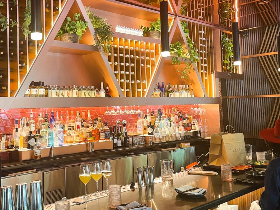 Image of the bar at PLANTA Queen. Dozens of wine bottles line the wall