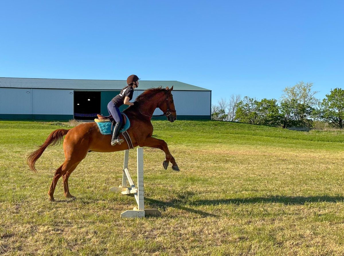 Northwestern’s equestrian team is back in the saddle